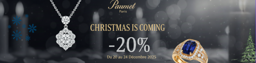 Les fêtes approchent. Découvrez notre sélection exclusive de montres et bijoux, sublimée par une remise de 20 % jusqu'au 24 décembre.